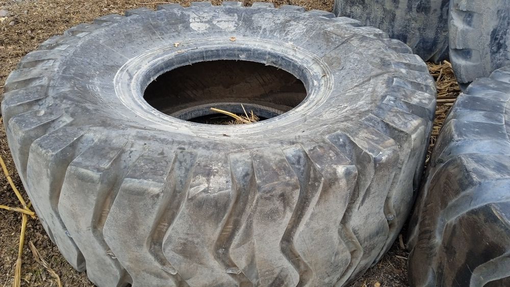 Пагурчикни балони  бор от ва бук,аларга охир сифатида хам болади