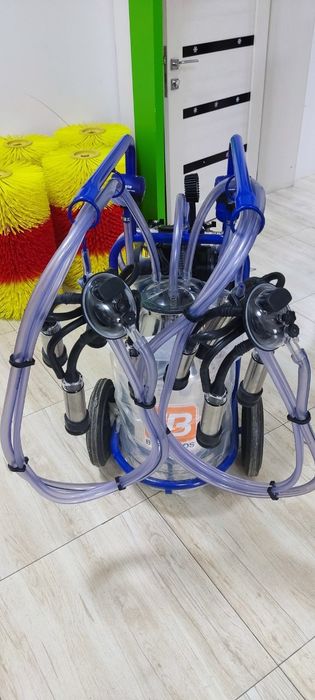 Sharq korinishidagi porno aktrisalar