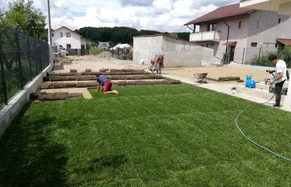 Gazon rulou 24 de lei m2 transport și montaj inclus în preț.