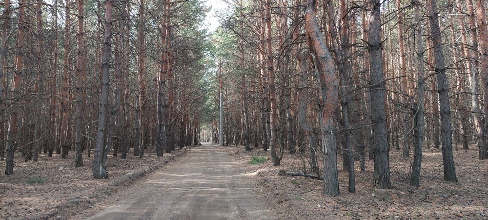 Продам участок земли