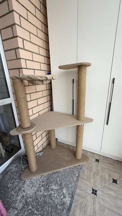 Когтеточка большой