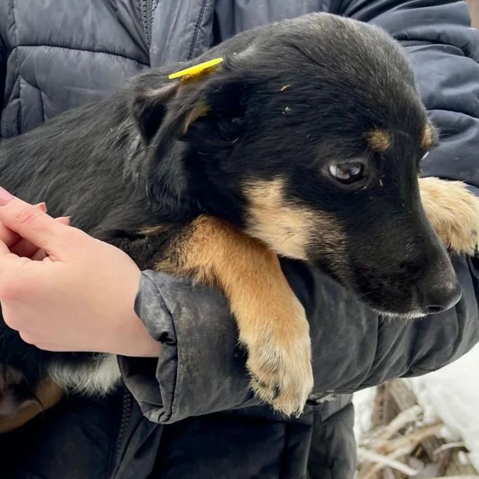 Возьми меня к себе