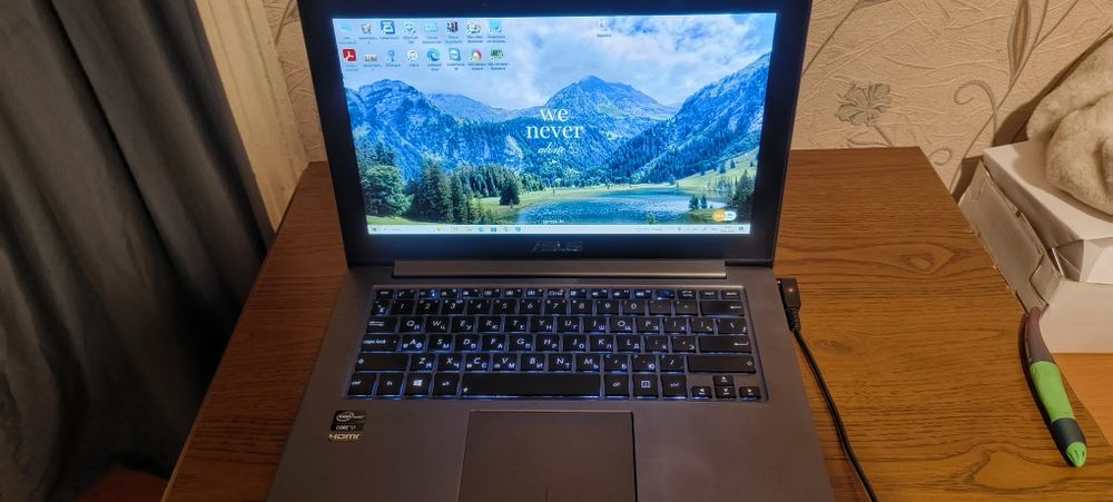 ASUS ZenBook UX31A