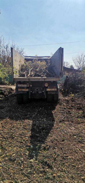 Почистване на дворове /дворни места/, извозване на храсти и отпадъци.