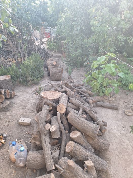 O'tin Дрова Сотилади