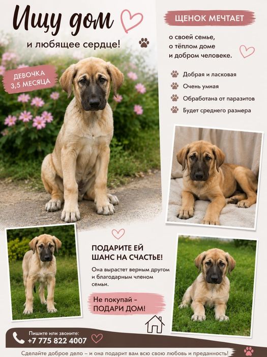 Вот такая красоточка