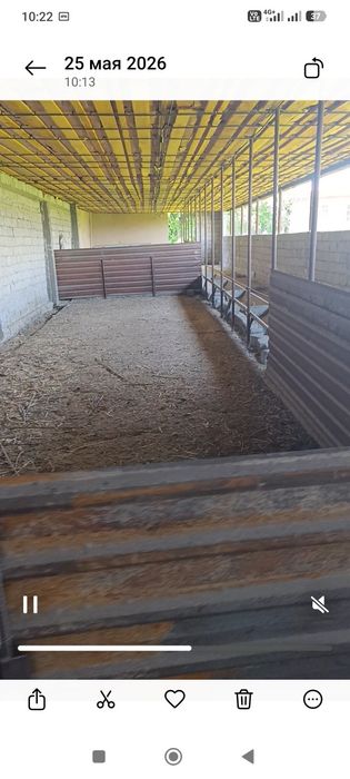 Янгийул ИСЛОХАТ да 25 сутих кадастрли турар жой сотилади