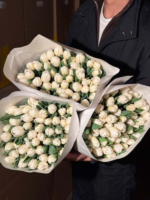 Высокие тюльпаны