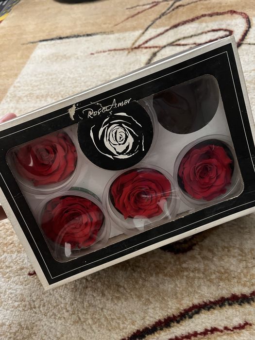 Vand Bulbi trandafiri criogenati