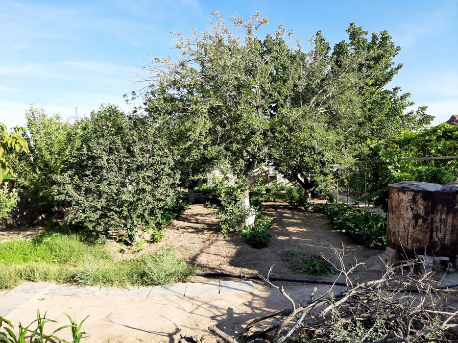 Продается дача 9.25 соток в "Оазисе"