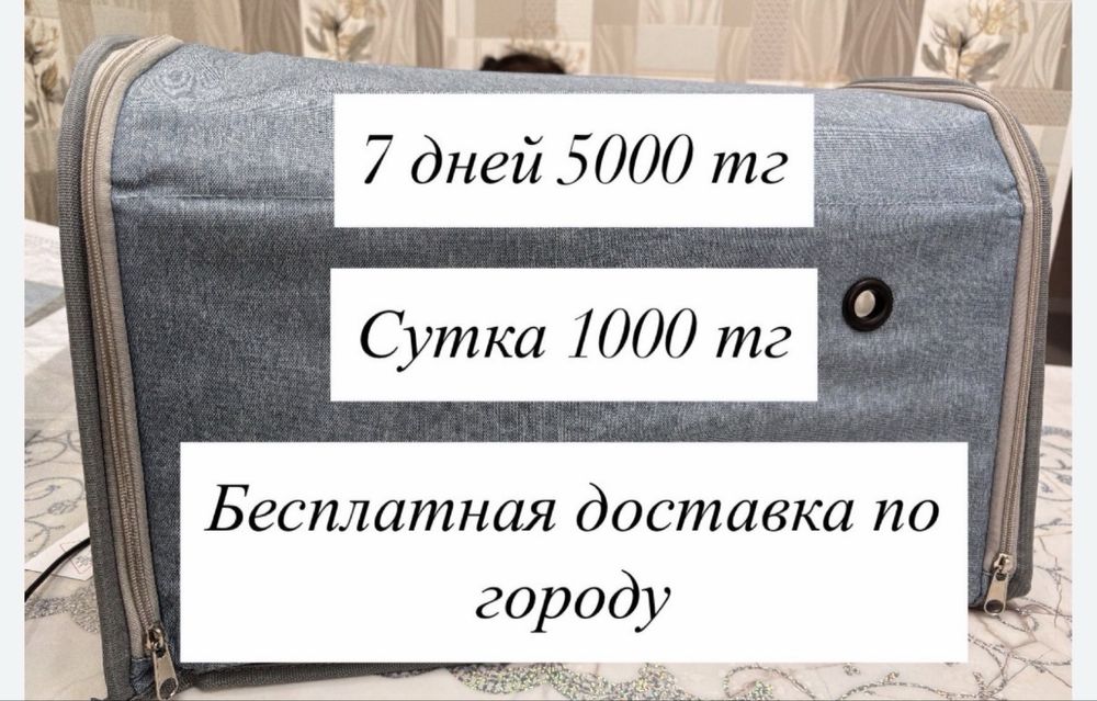 Фотолампа от желтушки