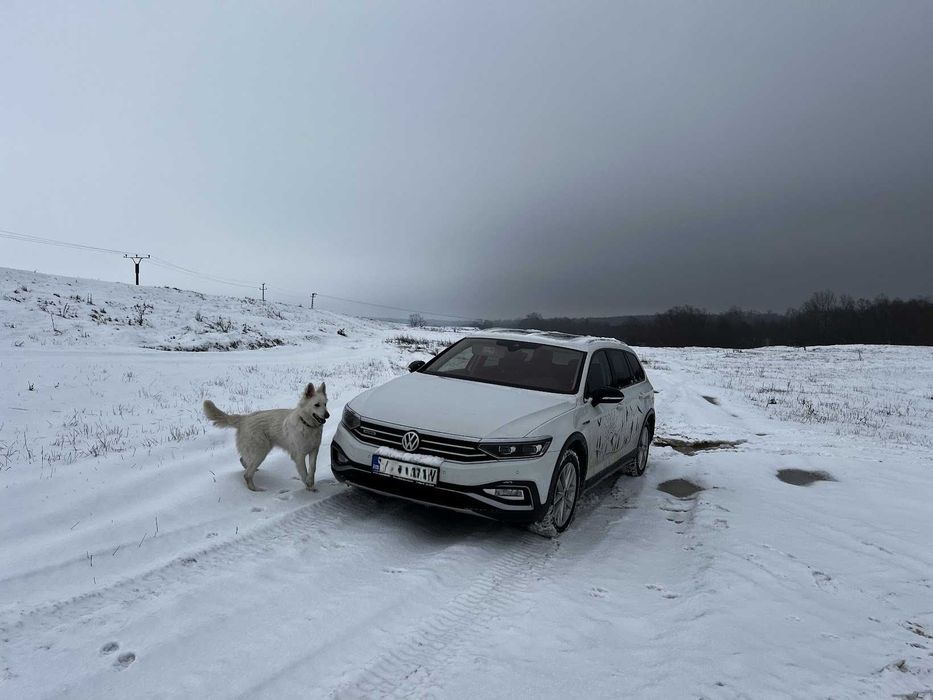 VOLKSWAGEN Passat Alltrack 2020 — imagine 3