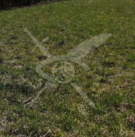 Парцел в Карлово 89426