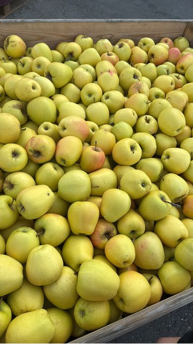 Vând Mere De vanzare De Polonia Calitate Extra orice soi