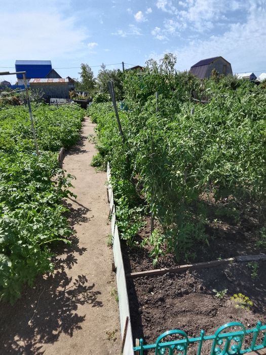 Продам дачу 3 сотки район Новопавловки