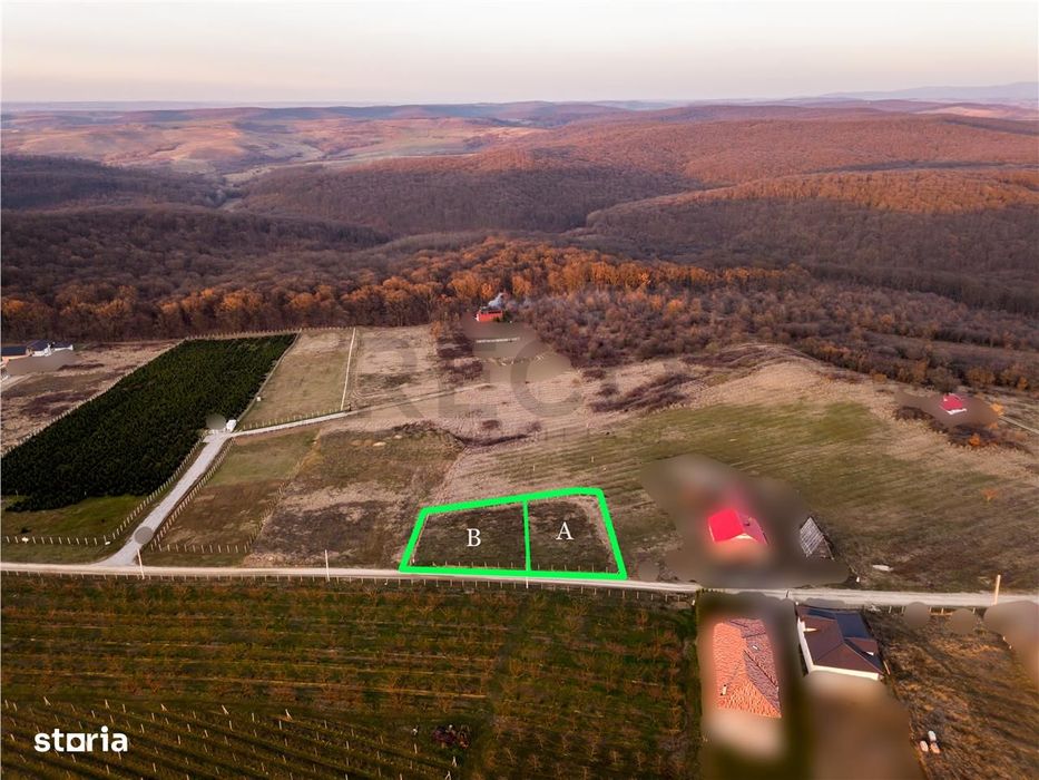 RECO Teren intravilan in Saldabagiu de Munte