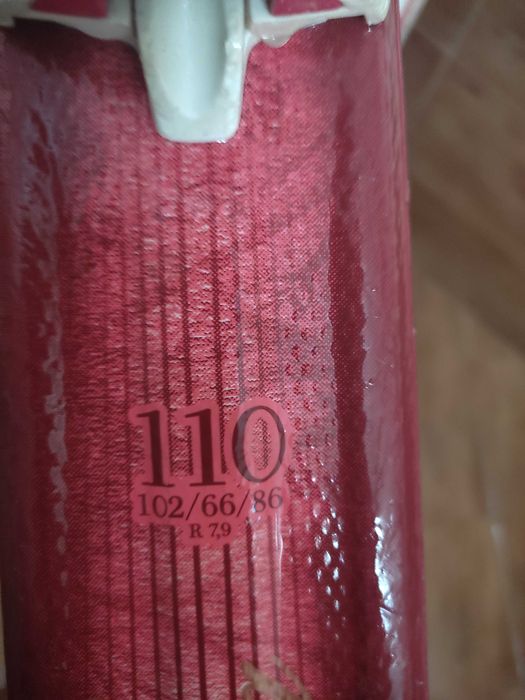 Детски ски обувки Techopro и ски 110