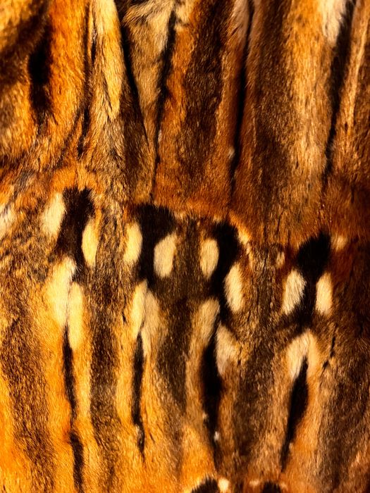 Haină elegantă din stofa