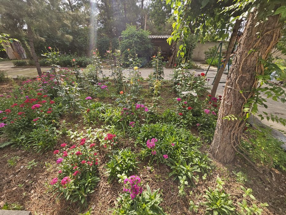 Продам свою дачу(24сотки) со всеми удобствами и постройками