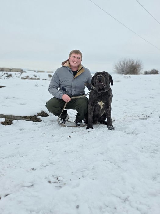 Профессиональная дрессировка