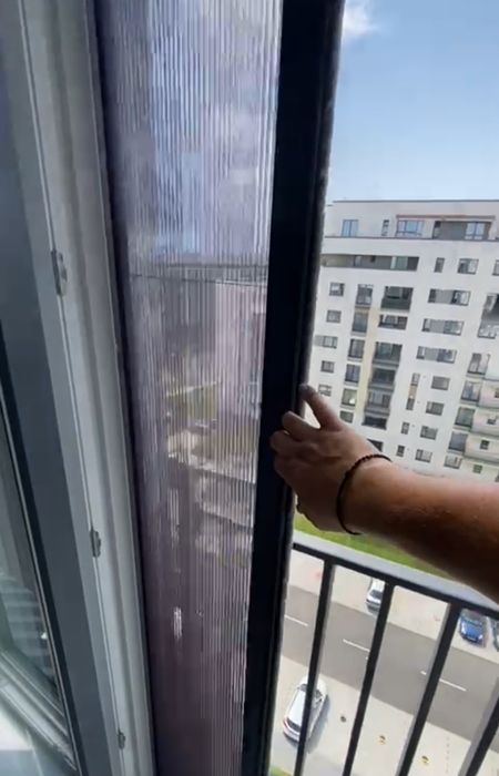 Plase insecte plisse Constanța