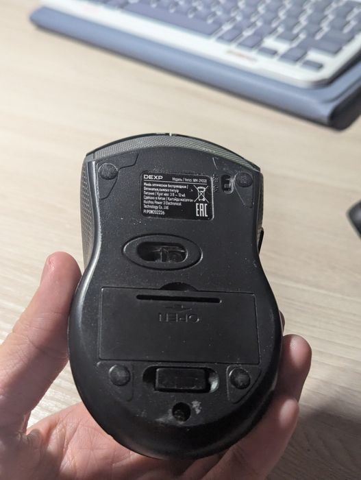 рандом мышька с днс