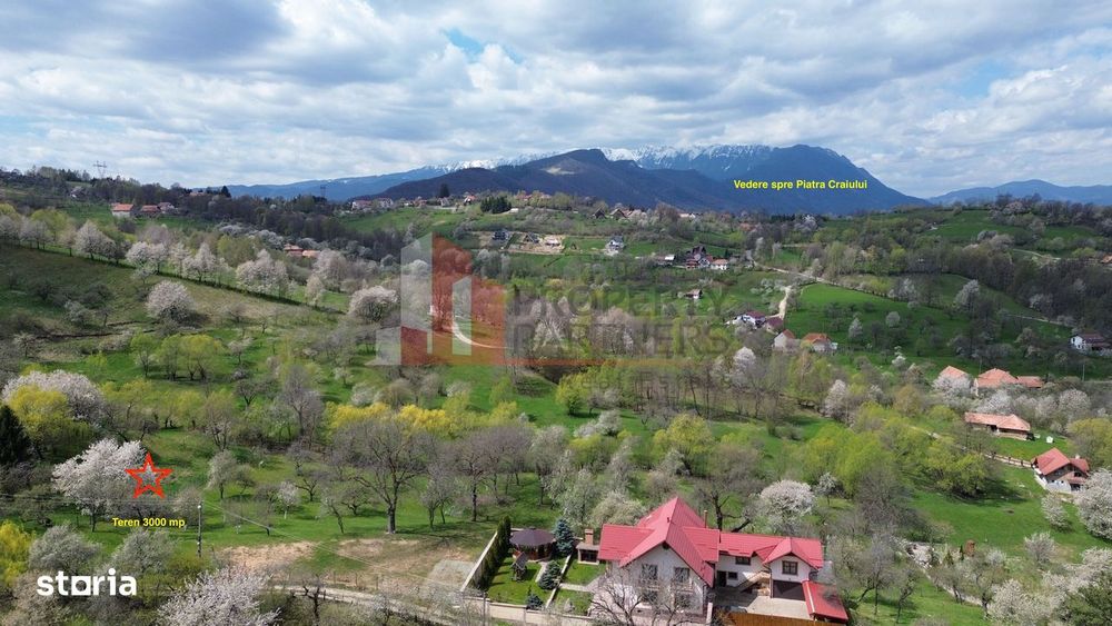 Teren Premium În Bran – Sohodol | 3000 Mp Cu Panoramă Excepțională