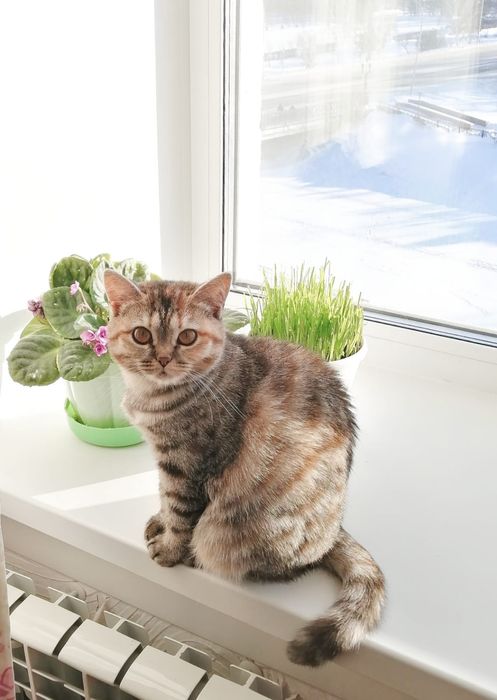 Ася -загадка ищет своего человека