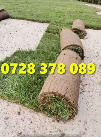 Gazon / Insamantare / Rulouri de Gazon