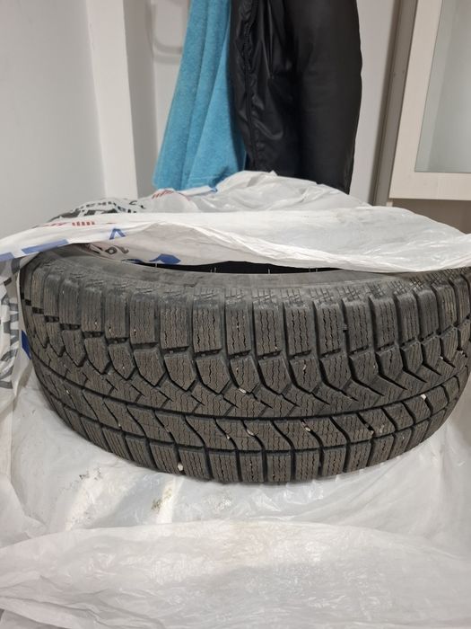 Chao yang  зимний дөңгелек