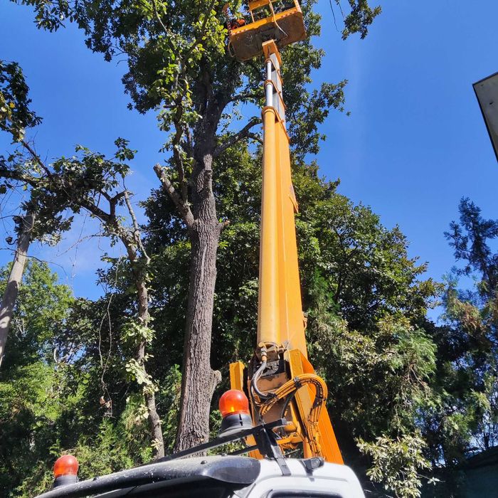 Подрязване на опасни клони , дървета с вишка и автовишка