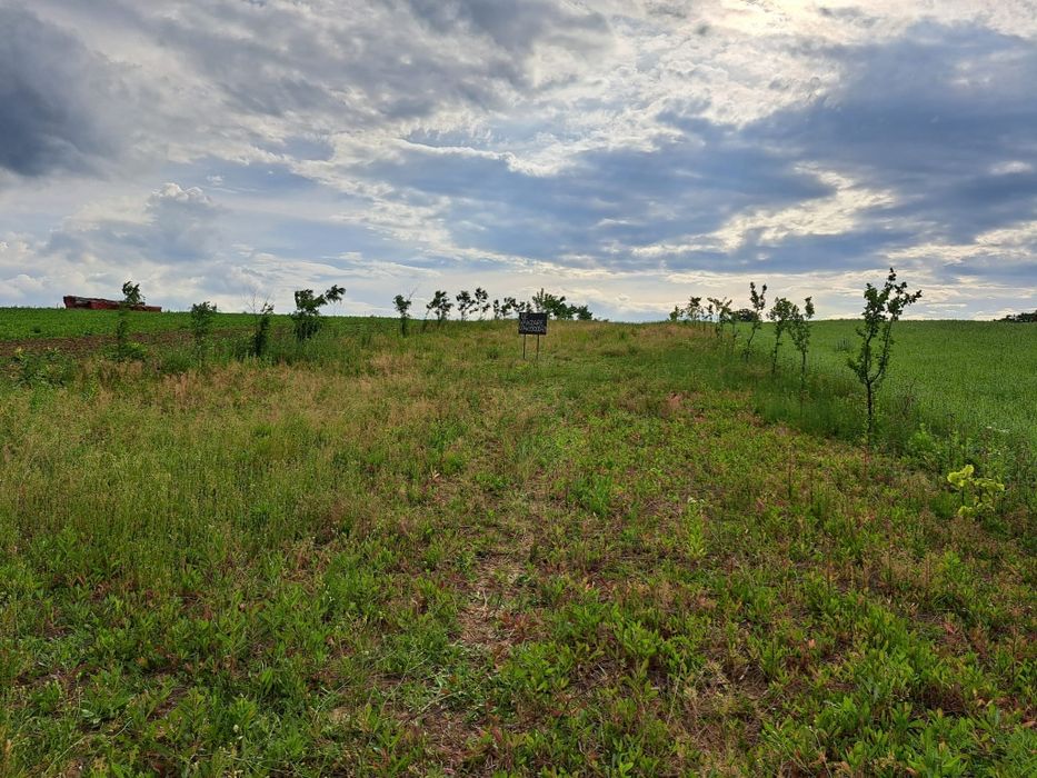 2900m2 teren intravilan in comuna Ion Creanga jud Neamt