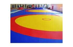 Борцовский ковер (без матов), 10х10м