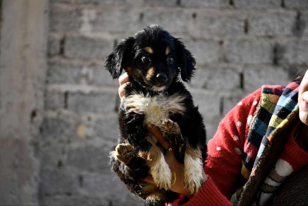 Малыш ищет дом и семью!