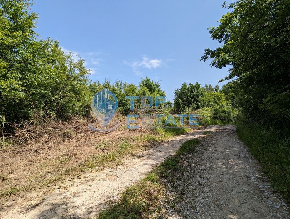 Парцел за жилищно строителство в село Войнежа