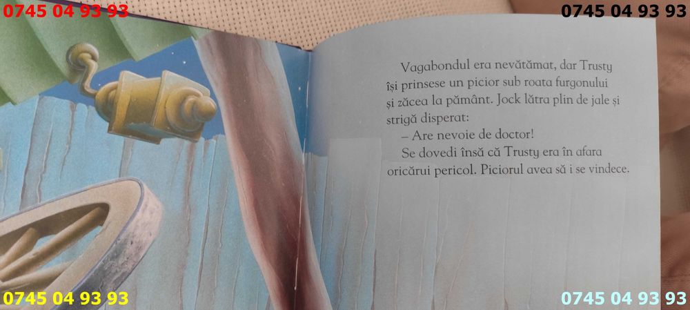 carte carti colectia disney Doamna si vagabondul