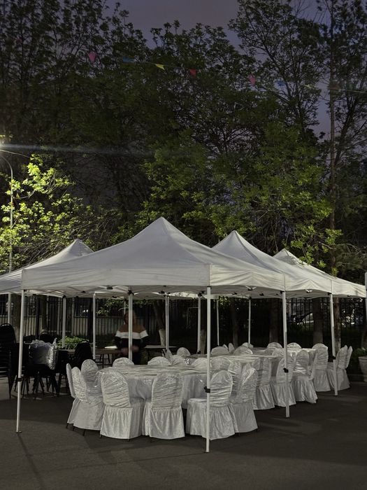 Прокат палатки, шатры