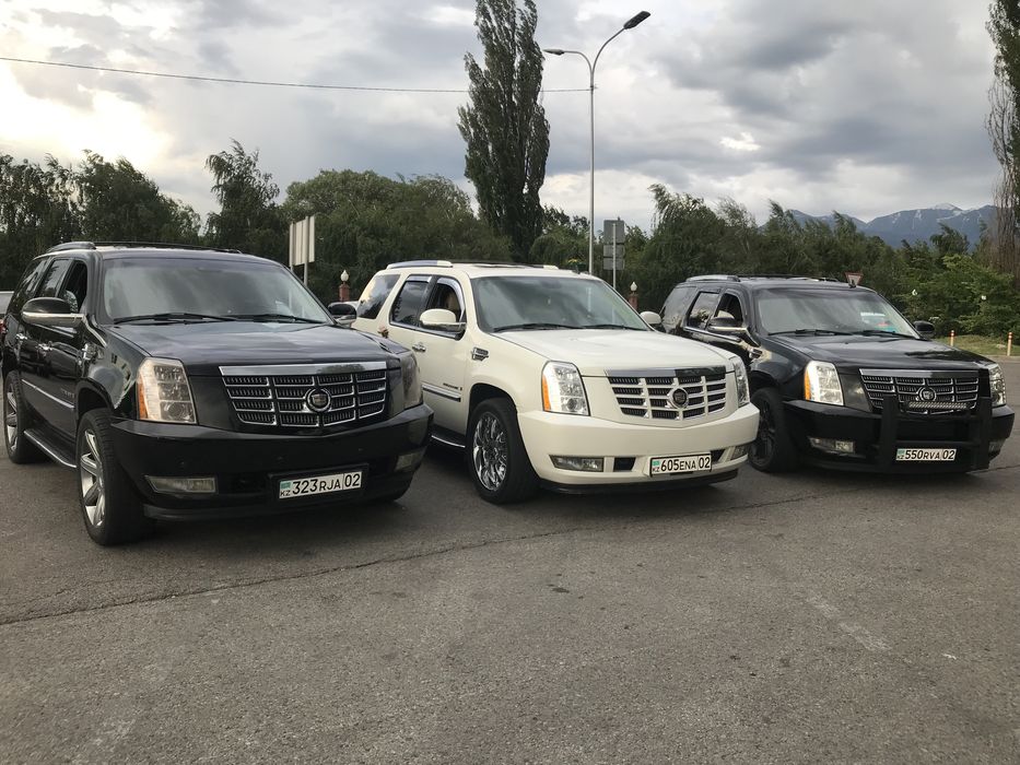 Аренда , прокат авто премиум класса