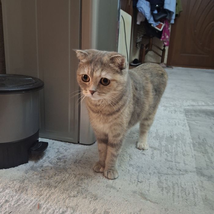 Birinchi marta korporativ ziyofatda jinsiy aloqa qilish