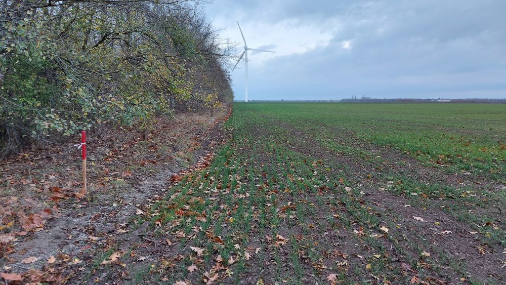 Продава се Земеделски имот в Добрич, Център -  кв.м за 2250 €/дка - Снимка #2