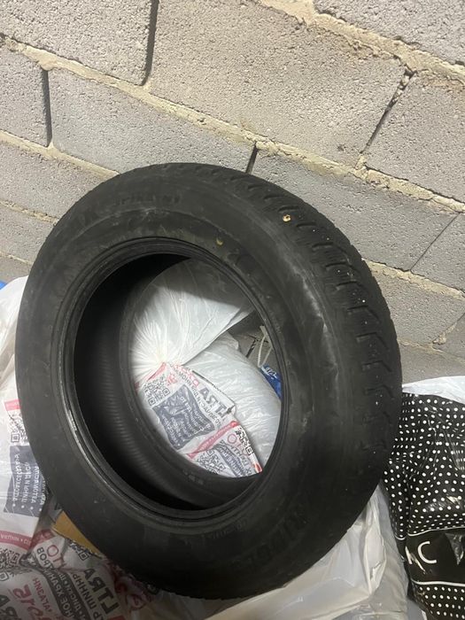 Продам шины зимние шипованные