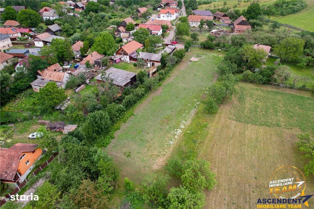 Film! 2.700 mp:refugiu al linistii si oportunitatii imobiliare,Cernat,