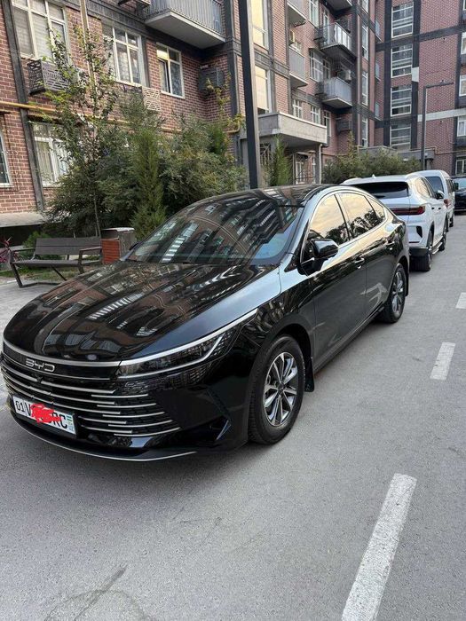 BYD Chazor 55 km Luxe