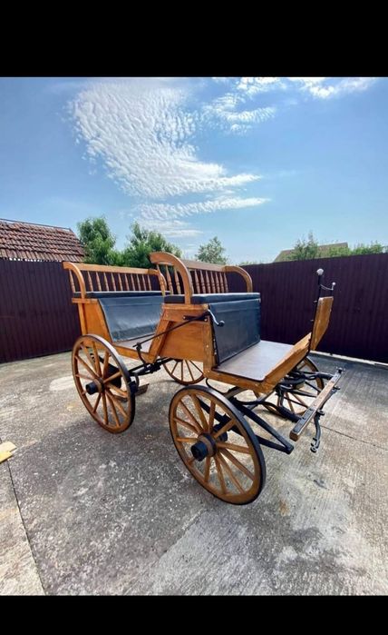 Vând Maraton/Trăsura din lemn