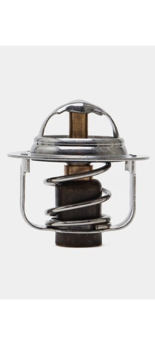 Термостат кафолат 1 ой