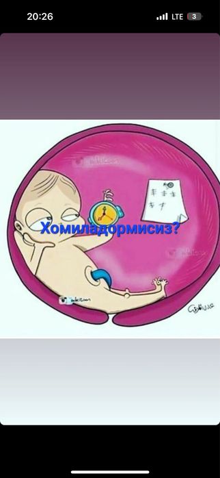 Чакон ва Халол кизларимиз Сизнинг хизматингизда