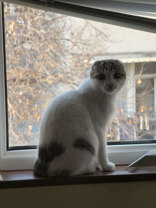 Срочно продается!!