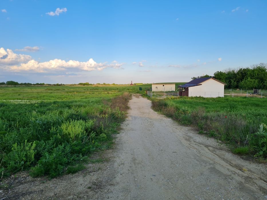 REDUCERE DE CRĂCIUN! Ultimul Lot disponibil!/ Intravilan/32 Euro m2