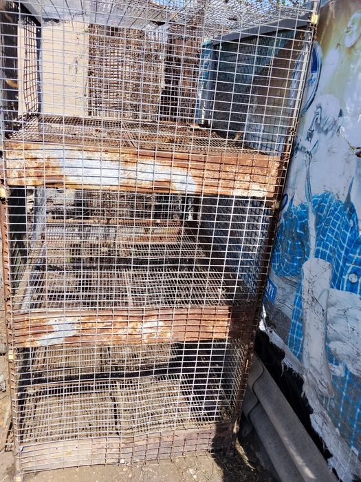 Продам клетки для курей