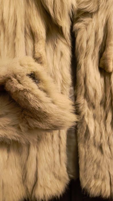 Blana Vulpe Argintie